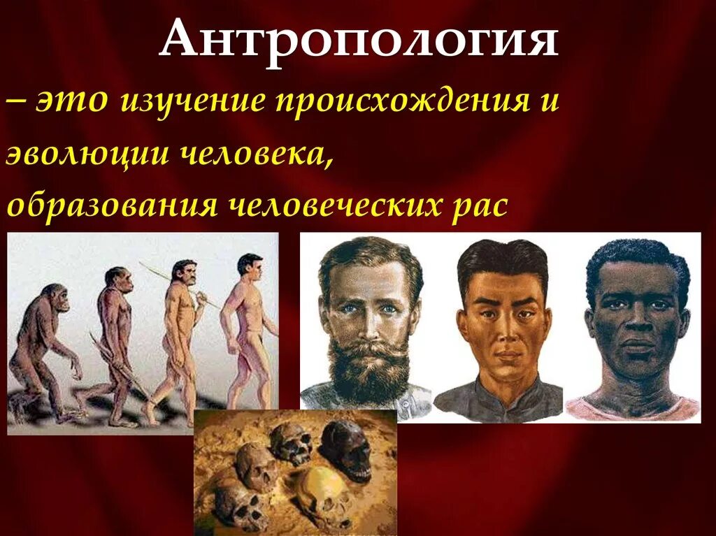 Происхождение человека человеческие расы. Антропология человека. Эволюция человека. Антропология это наука. Развитие человеческой расы.