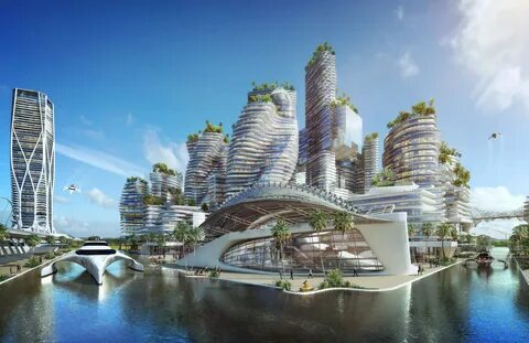Вид 2050