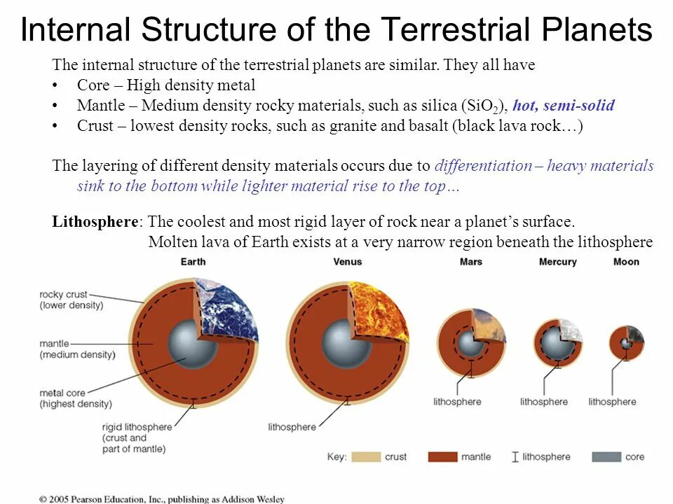 Terrestrial ads-b. E. Non-terrestrial biology. Пищевая цепь джунглей. Топ животных по биомассе.
