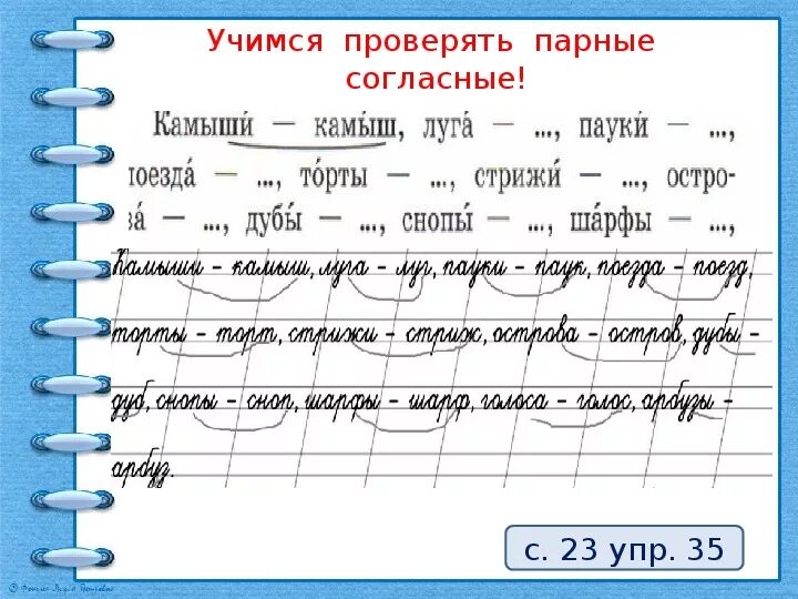 Окончание слова камышом. Парные согласные 2 класс. Парные согласные 1 класс. Чистописание парные. Чистописание парные согласные.