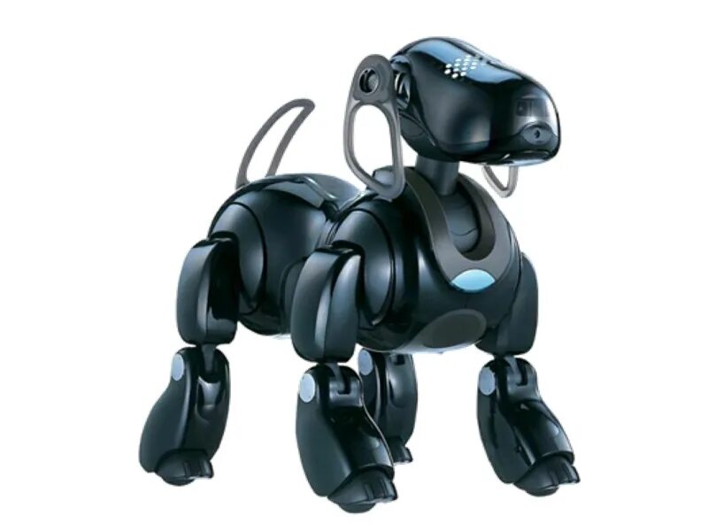 Sony Aibo ers-7. Робот щенок зуммер Aibo. Aibo 1999. Робот Sony Aibo Latte. Ai pet