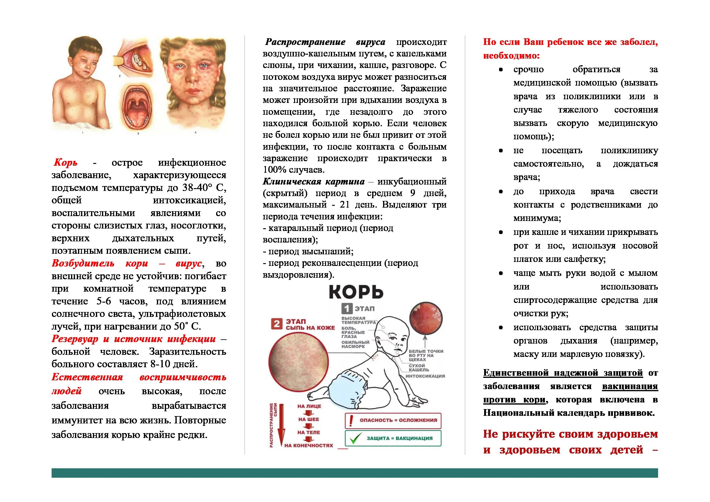 Памятка для родителей о кори. Буклет на тему профилактика инфекционных заболеваний у детей. Корь памятка. Буклет на тему кожные заболевания.