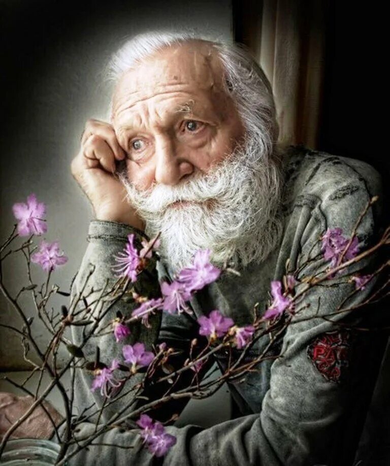 Седые старцы