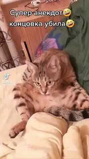 Концовка анекдота