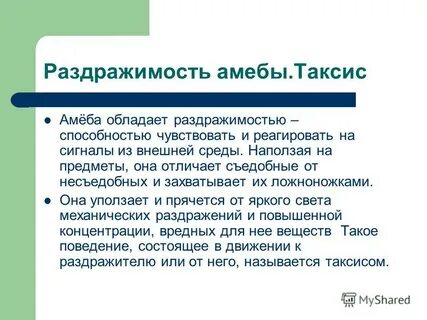 Раздражимость амебы