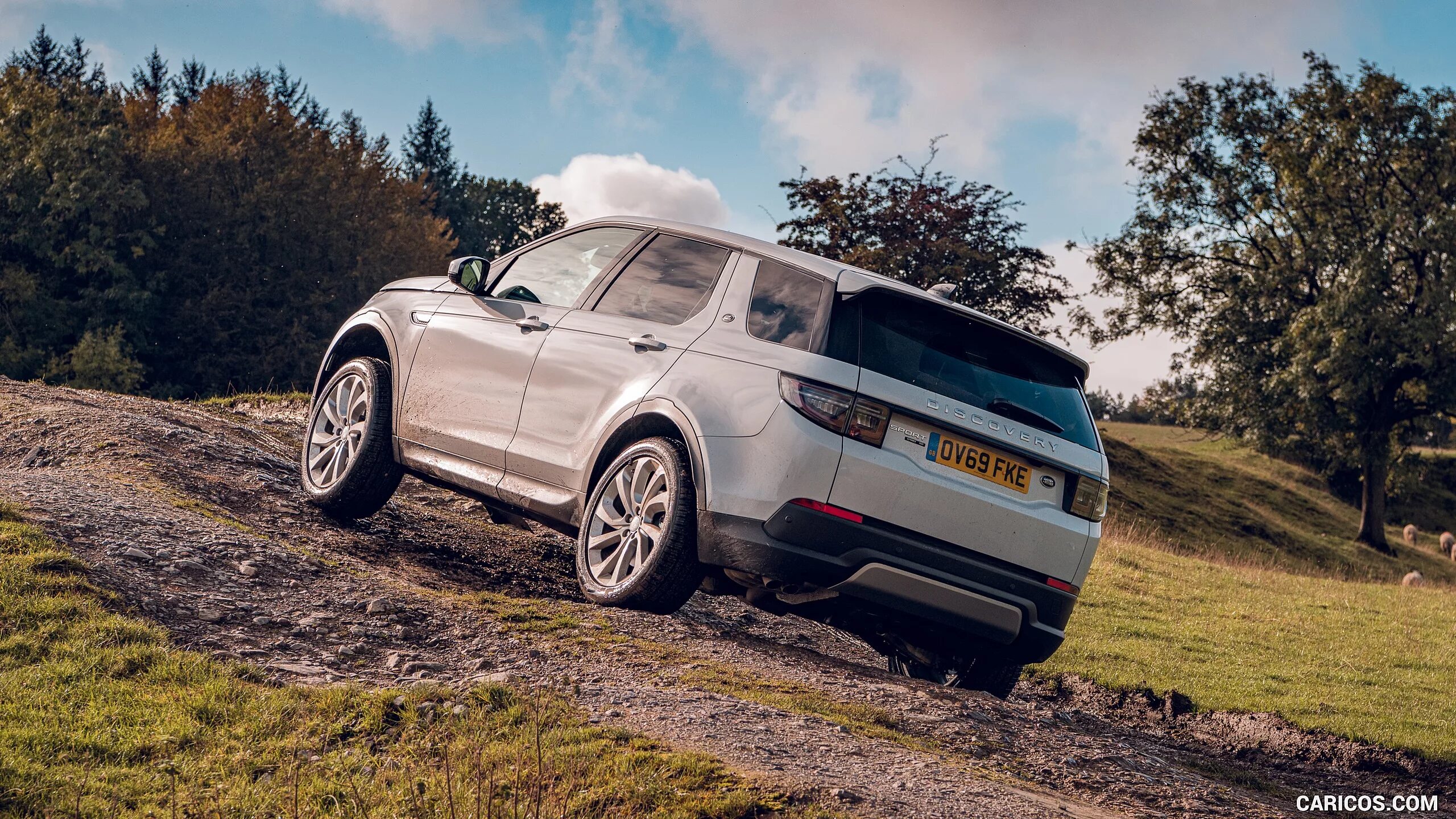 Ленд ровер дискавери 2019. Land Rover Discovery Sport 2020. Ленд Ровер спорт 2022. Дискавери спорт 2022. Рендж Ровер Дискавери 2022.