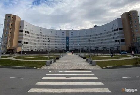 Боткинская больница пискаревский справочное