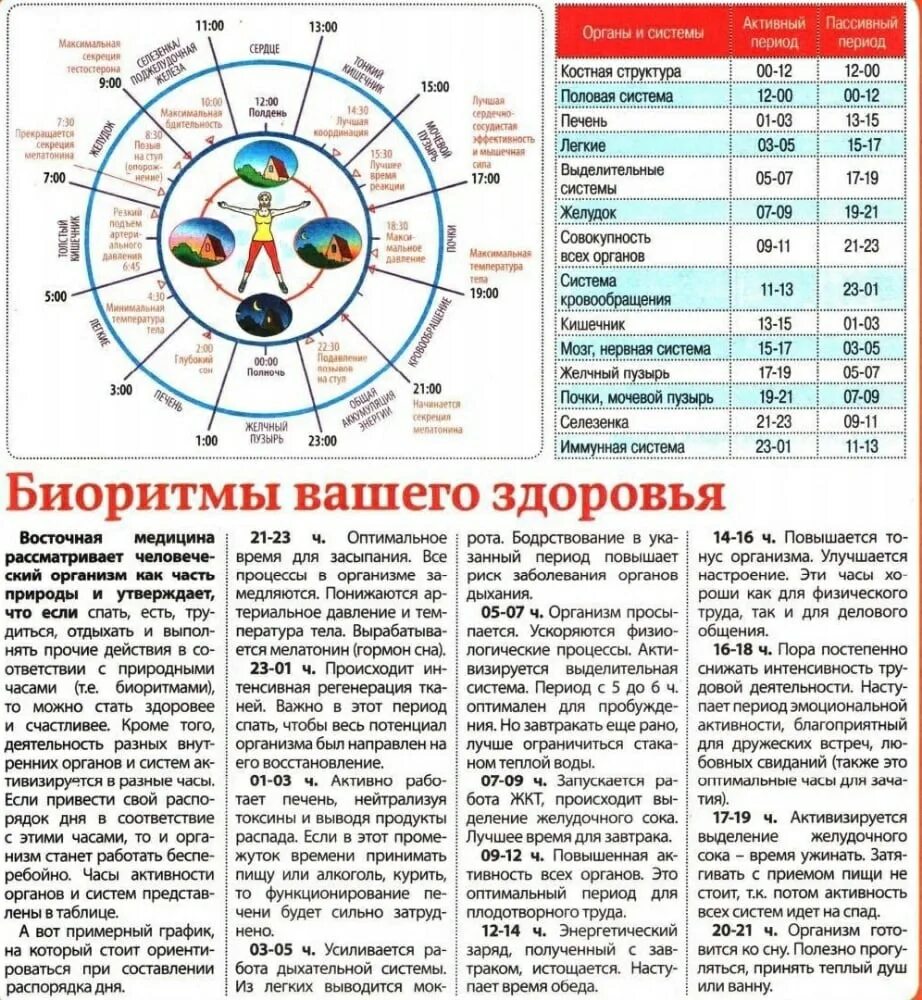 В какое время суток луч. Биоритмы организма человека по часам. Время работы меридианов в организме человека по часам. Биологические ритмы внутренних органов человека по часам суток. Биоритмы человека по часам таблица.