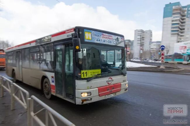 56 автобус пермь остановки. Автобусы Пермь. Автобус Пермь перевозчики. 11 Автобус Пермь. Автобусы междугородние Пермь.