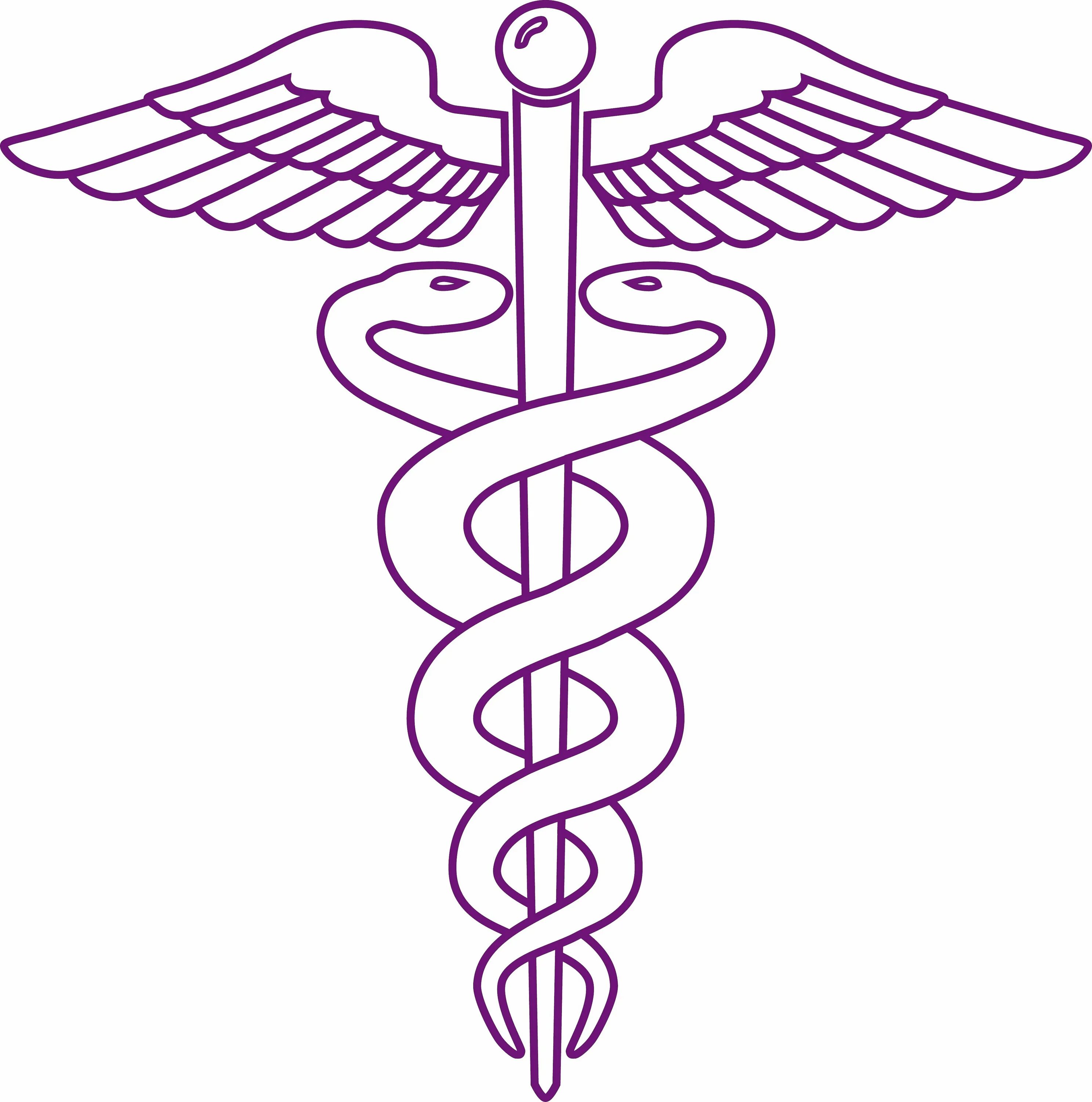 Две змеи символ. Посох асклепия, кадуцей и чаша со змеёй. Символы тота гермеса трисмегиста. Кадуцей гермеса тату. Уроборос змея бесконечность.