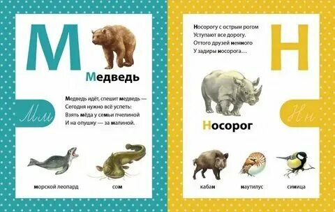 Животные название которых начинается на н. Какие есть животные на букву н. Звери на букву н. Животные на букву н. Животное на букву а.