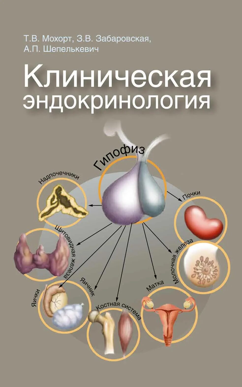 Область эндокринологии. Эндокринология. Эндокринология книга. Эндокринология учебное пособие. Клиническая эндокринология.