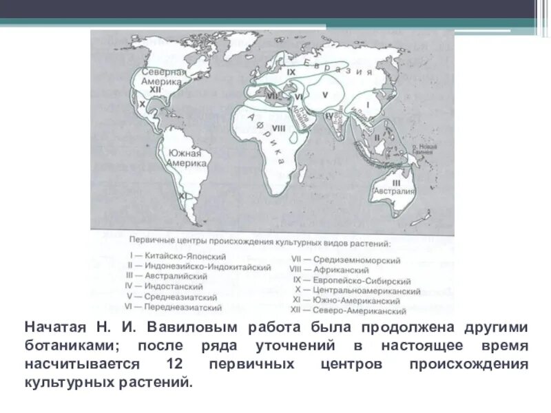 Сколько центров происхождения культурных. Центры происхождения Вавилова. Таблица Вавилова центры происхождения культурных растений. Вавилов центры происхождения культурных растений таблица. Карта Вавилова центры происхождения культурных растений.