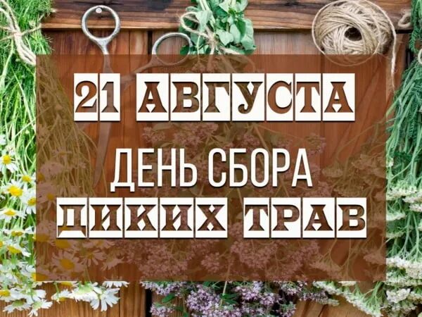 День сбора диких трав. Праздники в августе 2023. Сбор дикорастущих растений. День сбора диких трав 21 августа. Именины август 2024