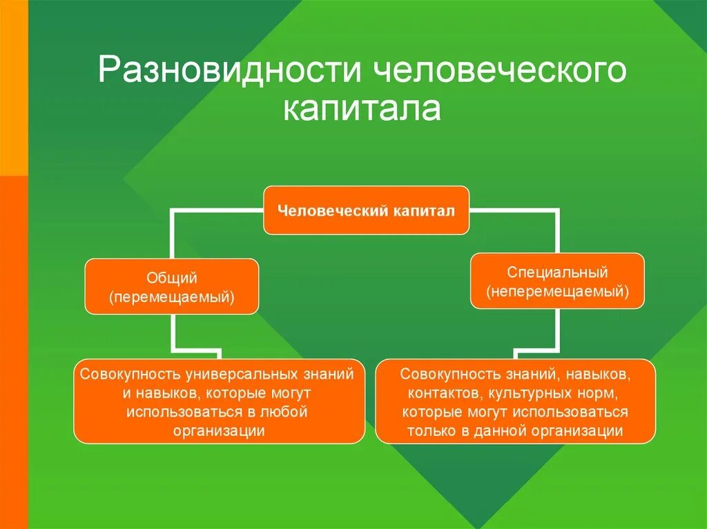 Понятие человеческого капитала. Презентация на тему человеческий капитал. Человеческий капитал это в экономике. Факторы формирования и развития человеческого капитала.