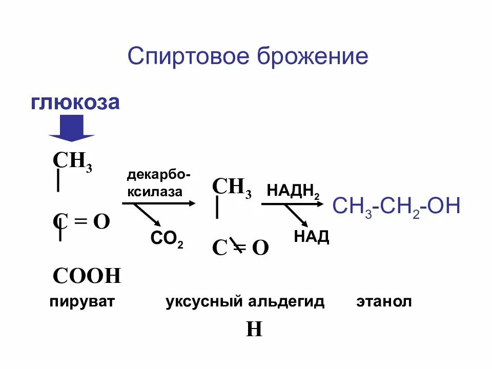 Глюкоза уксусный альдегид