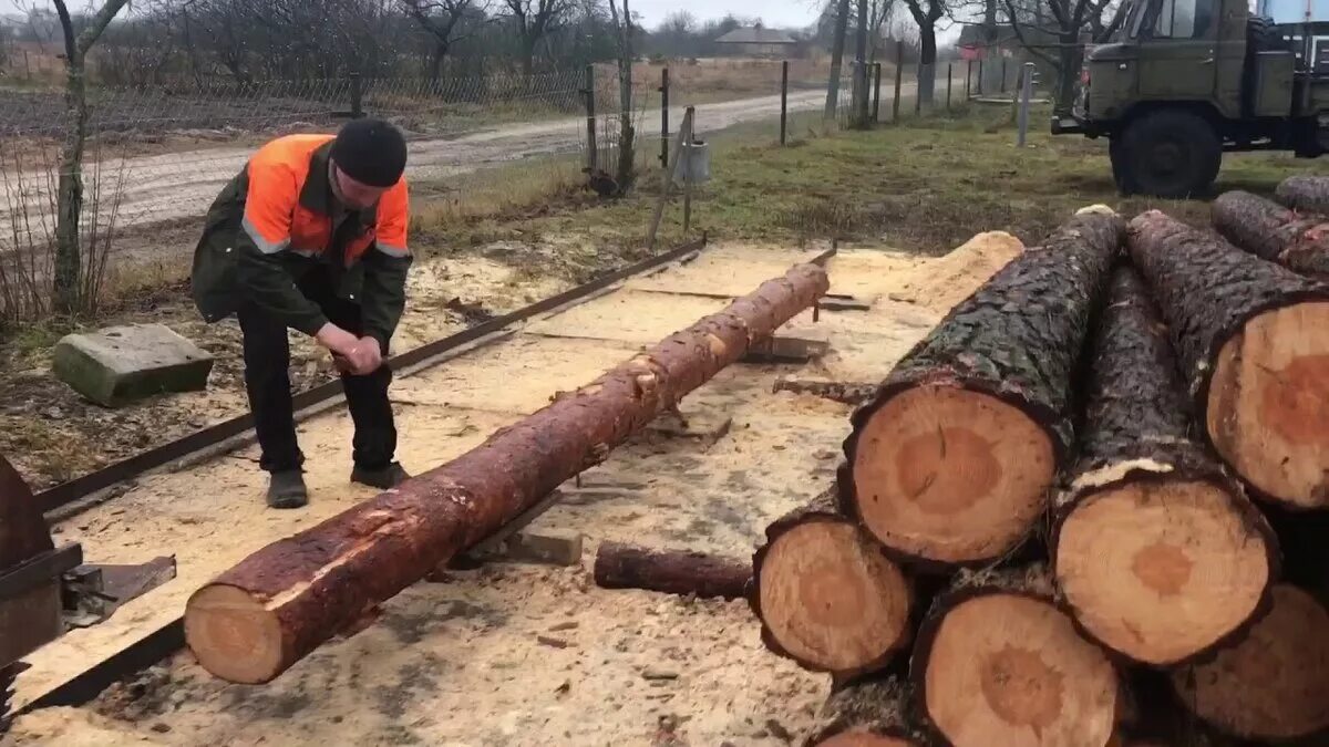 Как пилят на пилораме. Распиловка бревна на пилораме. Распилка бревна. Пилорама для бревен. Дубовое бревно.