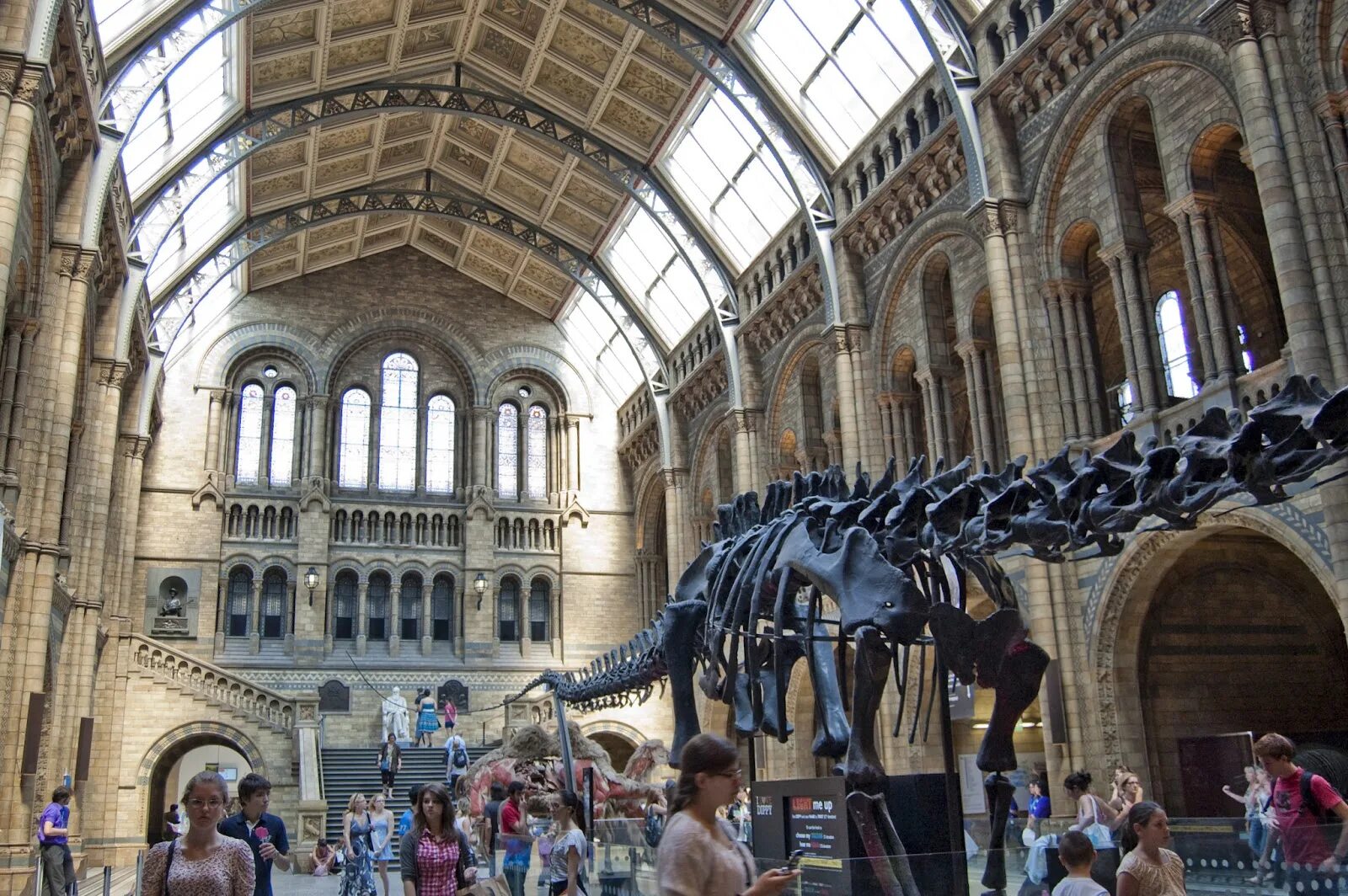 Какие музеи есть в лондоне. Музей естествознания (natural History Museum). London музей естествознания. Музей естествознания Лондон центр Дарвина. Музей естествознания Лондон красная зона.