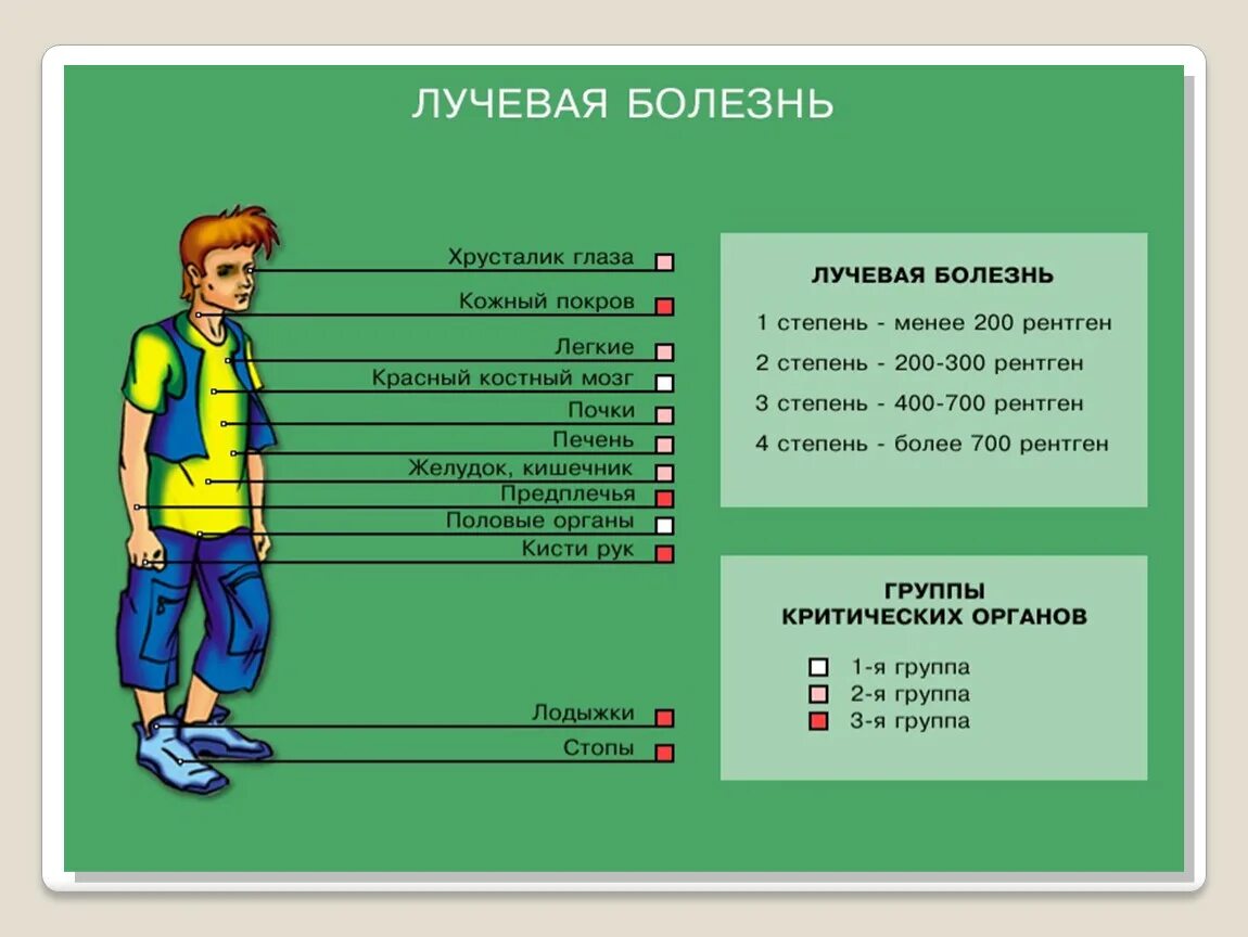 Поражение человека радиацией. Клинические проявления лучевой болезни. Степени облучения лучевой болезни. Лучевая болезнь стадии и симптомы.