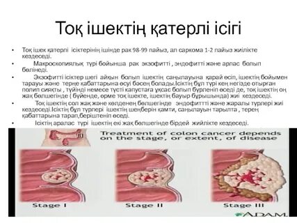 Жалаңаш Ольга Фадееваны іздеңіз