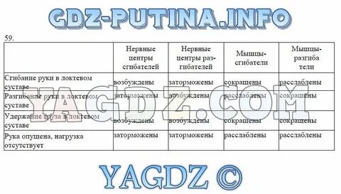 Биология 8 класс учебник параграф 58