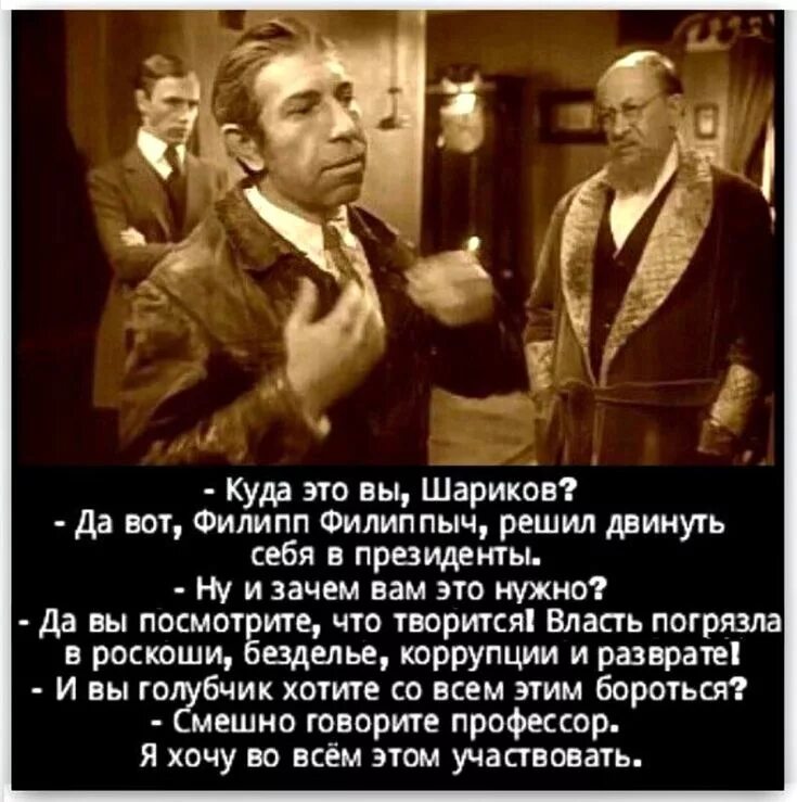 Выражение на шару