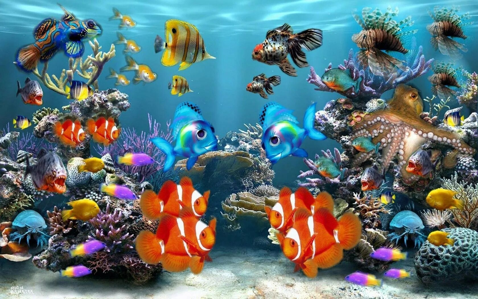 Установить видео живые обои. Картинки на рабочий стол рыбки. Живой аквариум. Живые рыбки. Подводный мир аквариум.