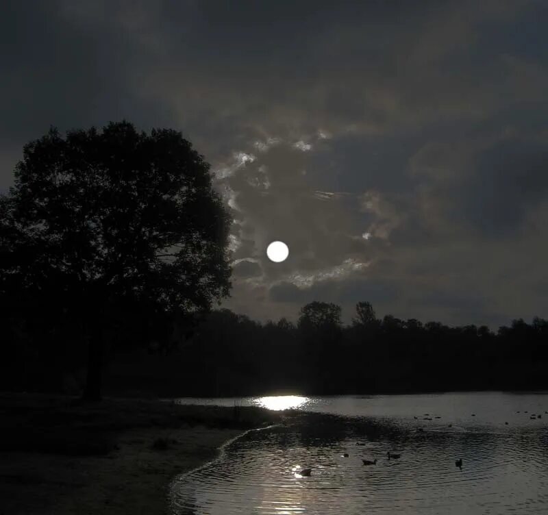 Вдали светит луна. Луна река. Лунная ночь. Ночь Луна река.