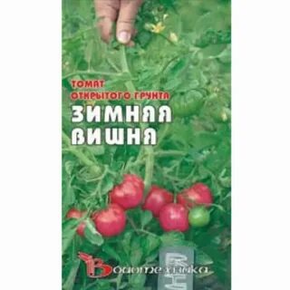 Партнер зимняя вишня