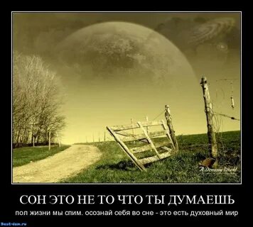 Пол жизни в пути