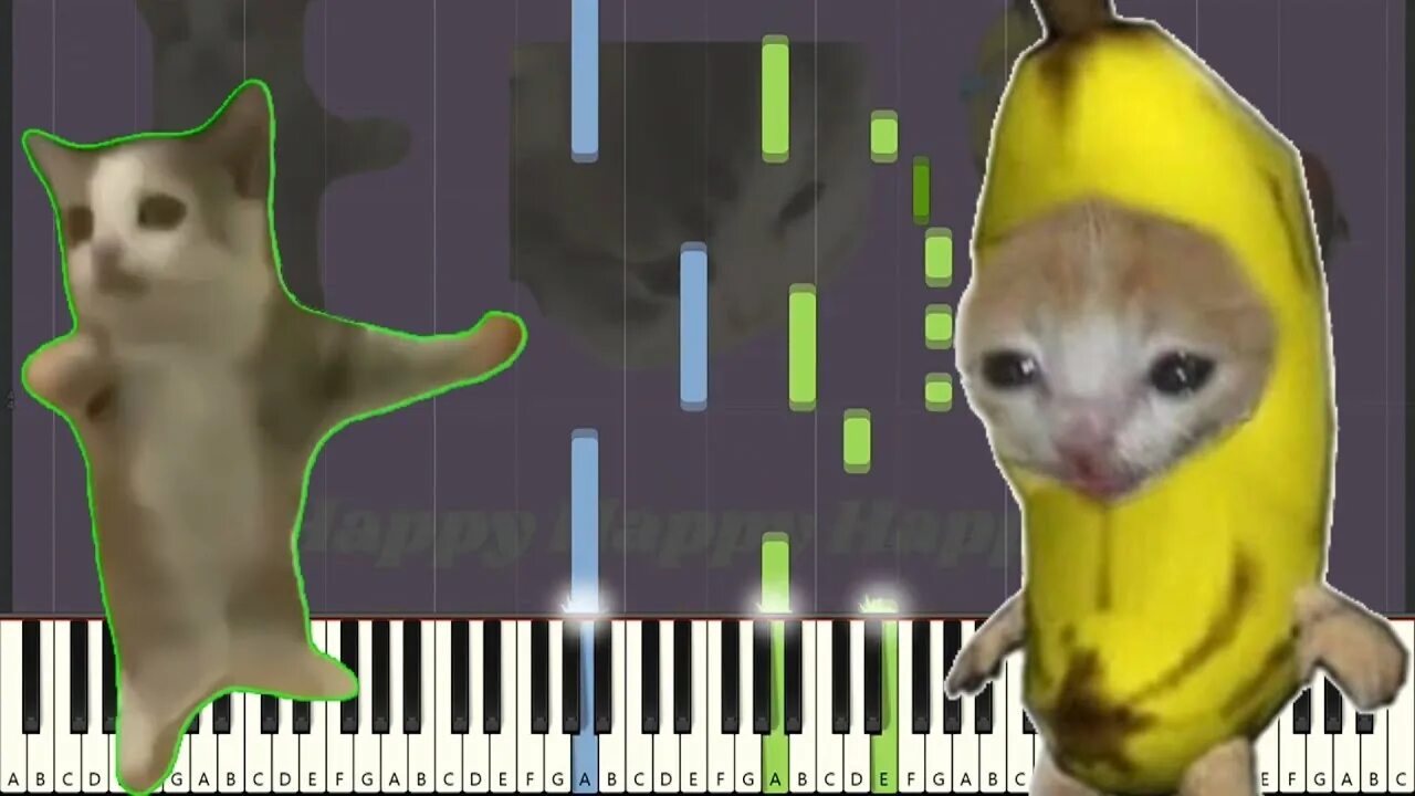 Happy Happy Cat but Social Media ringtones - YouTube
