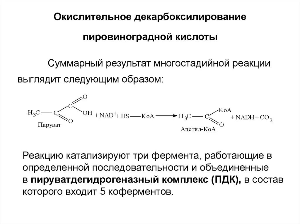 Декарбоксилирование пировиноградной кислоты реакция. Окислительное декарбоксилирование ПВК. Окислительное декарбоксилирование ВПК. Реакция окислительного декарбоксилирования пировиноградной кислоты.