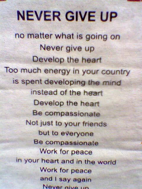 Never give up песня. Текст песни never give up. Never give up песня текст. Never never give up перевод. What s up текст