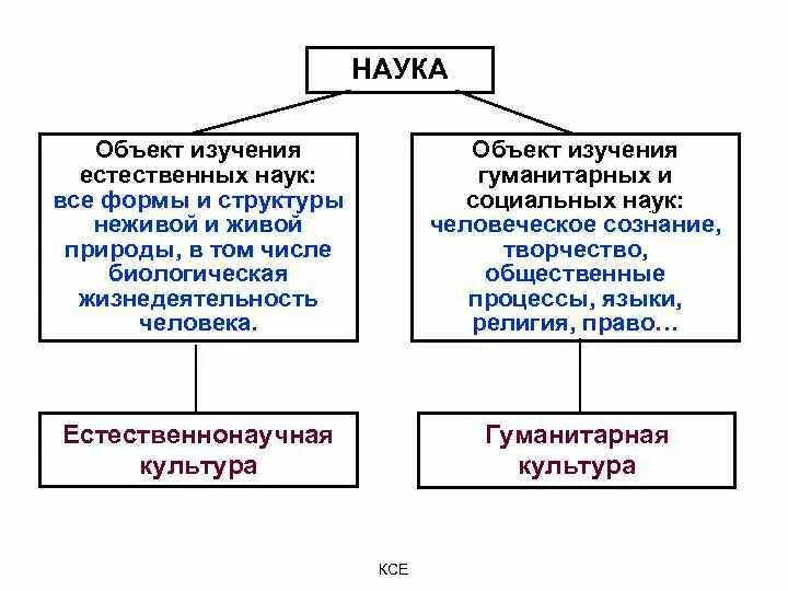 Естественно научный предмет это какой. Объекты исследования естественных наук. Естественные науки предметы. Объекты изучения различных наук. Естественные науки предмет исследования и пример.