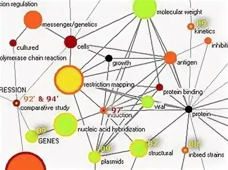 The complexity of being. Complexity. self organizing map.