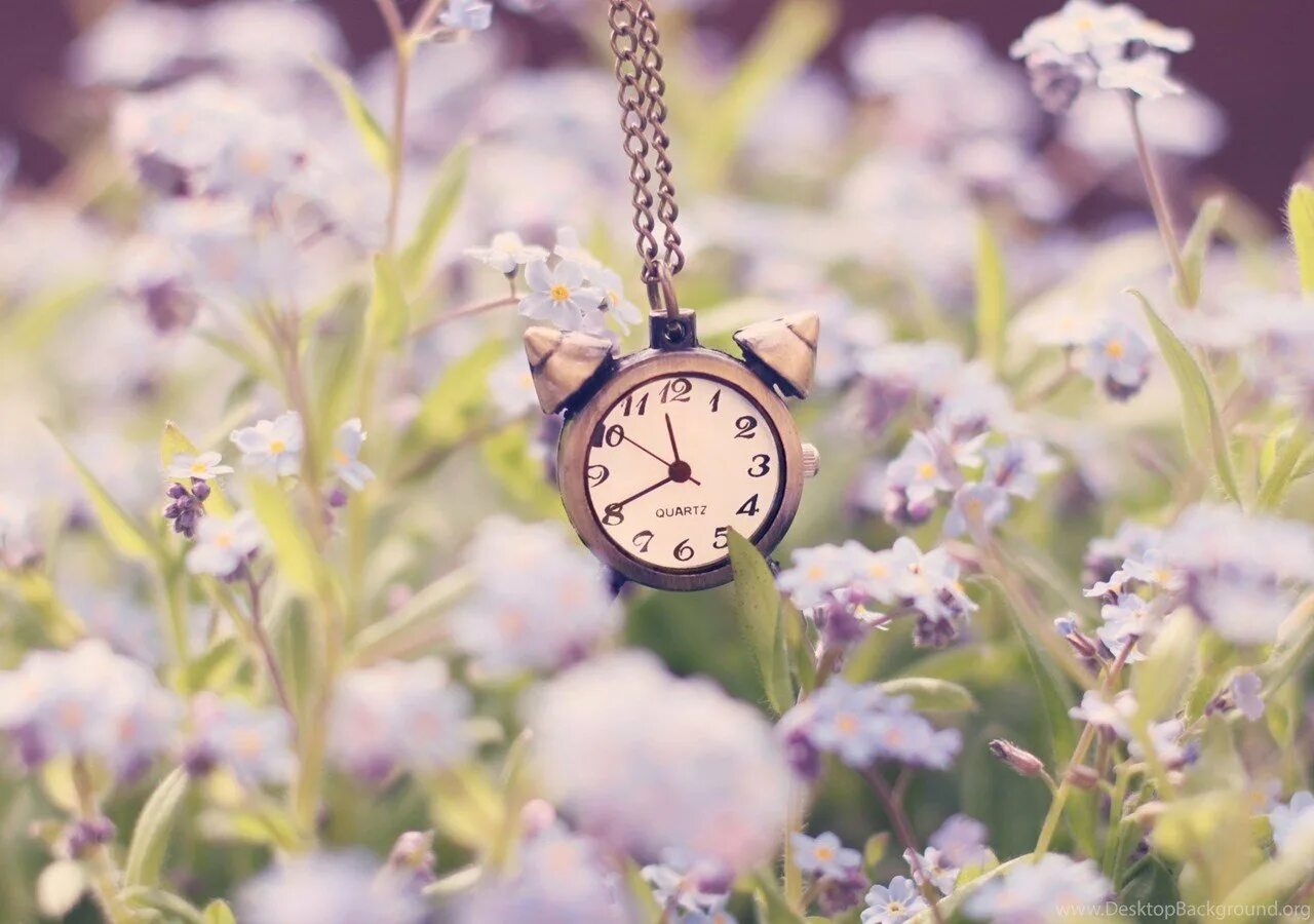 Времени совсем нет. Часы в цветах. Будильник в цветах. Часы на красивом фоне. Красивые часы и цветы.