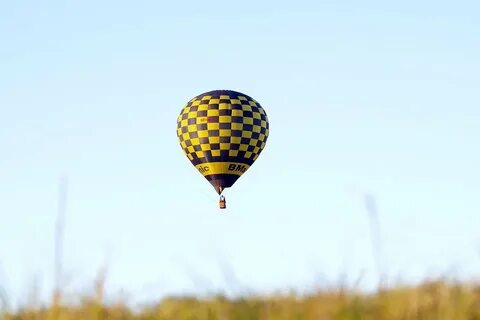 Balloon fly