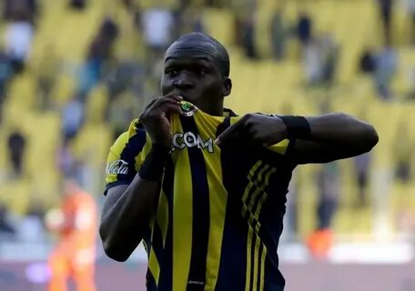 Sow