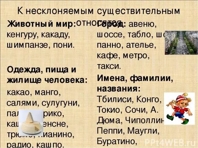 Несклоняемые имена существительные одежда. Несклоняемые существительные овощи и фрукты. Несклоняемые существительные на тему одежда. Несклоняемые существительные животных. Имена существительные овощи