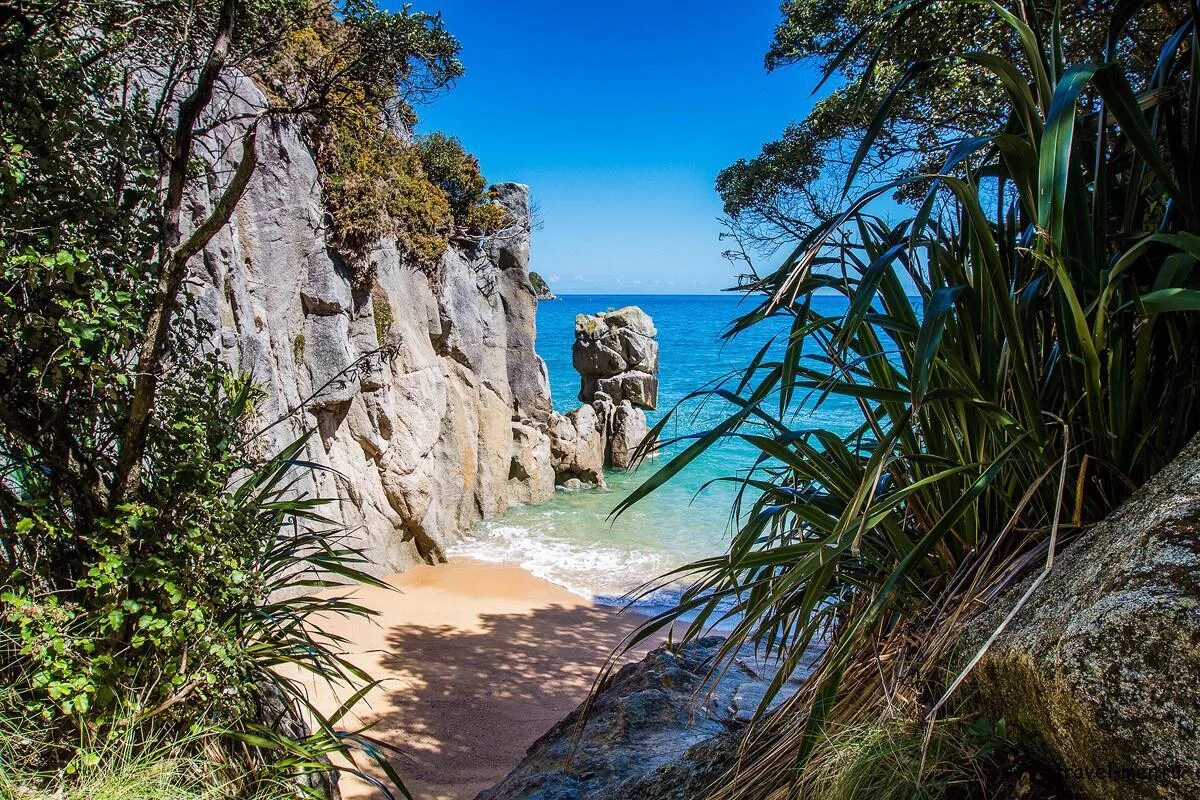 тасмания пляжи. австралия фон. национальный парк тасман, австралия. австралия хеллиуэлл,. австралия, новая зеландия, папуа-новая гвинея.