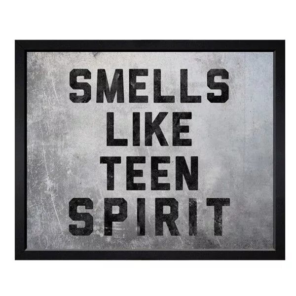 Смелс лайк тин спирит. Smells like teen Spirit. Смелс лайк спирит. Nirvana smells like teen Spirit картинки. Smells like teen Spirit арт.