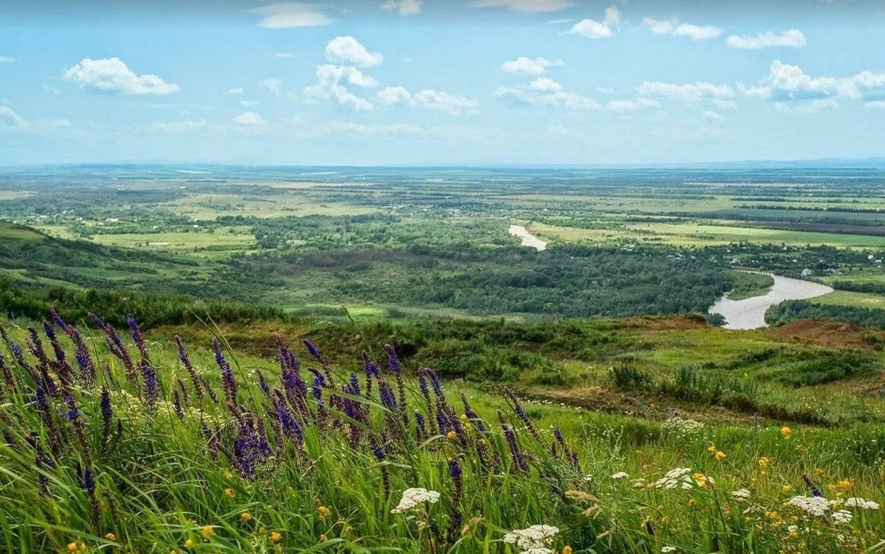 Степи равнины Ставропольского края. Кубань Ставропольский край. Лесостепь Ставропольского края. Краснодарский край природа Кубанская равнина.