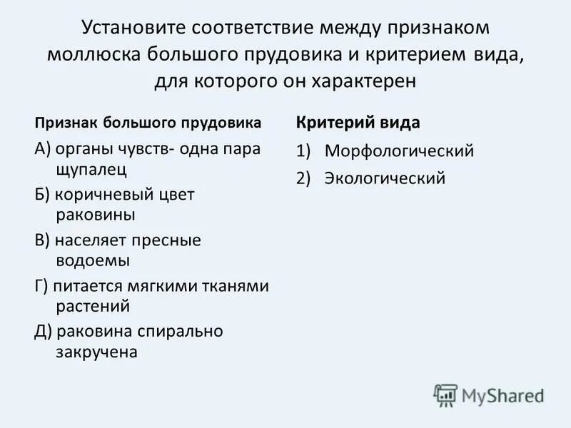 Установите соответствие между симптомом и заболеванием. Установите соответствие между симптомами. соответствие между объектами и признаками. установите соответствие между критерием по го и его трактовкой. установите соответствие между признаком и организмом беззубку.