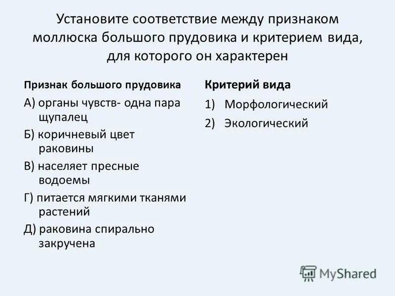 Найдите соответствие между автором и названием произведения. Установите соответствие между симптомами. Соответствие между объектами и признаками. Установите соответствие между критерием по го и его трактовкой. Установите соответствие между признаком и организмом беззубку.