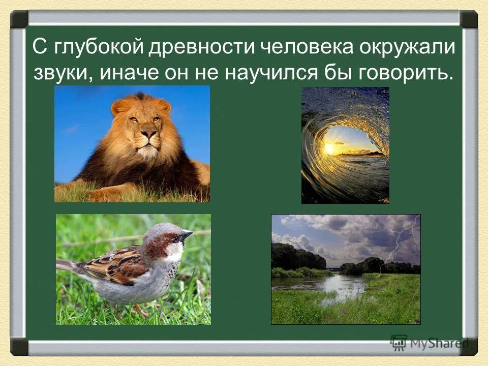 Какой форме звук представлен в живой природе. Презентация звуки природы. Мир звуков природы. Презентация на тему звуки в природе.