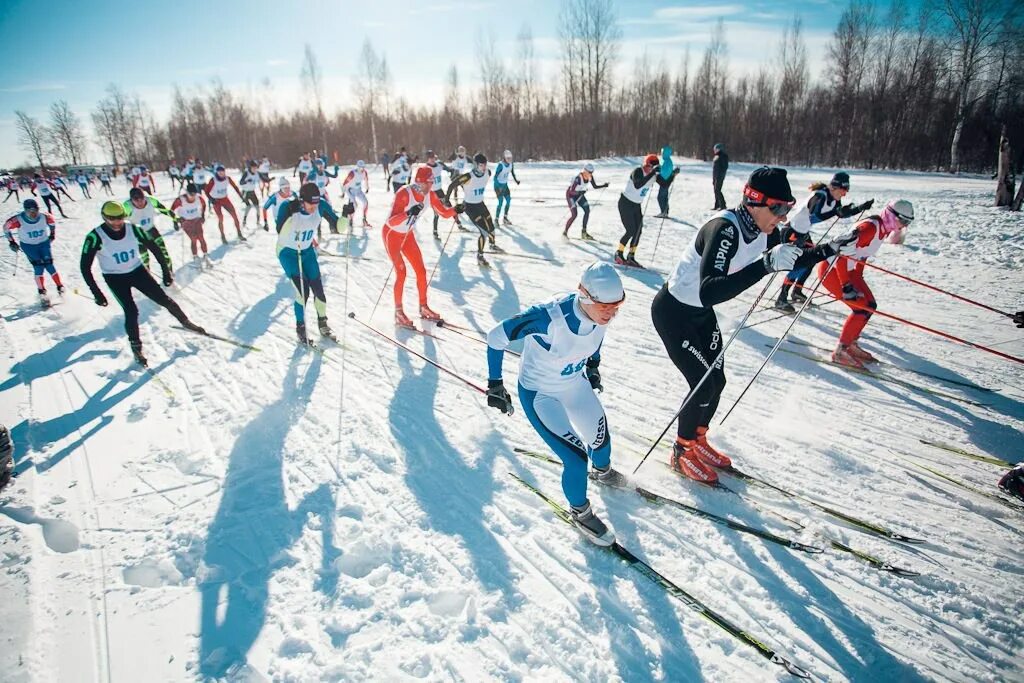 Лыжные гонки. Соревнования по лыжам. Лыжный спорт соревнования. Лыжный спорт в России.