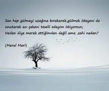 Hep sen