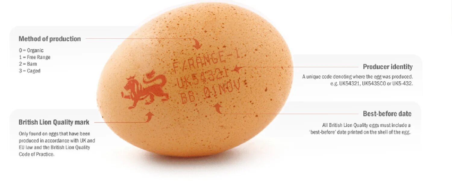 Egg текст. A egg или an egg. Яйцо слово рисунок. Яйца с надписью желтый. Ворлд рекорд эгг.