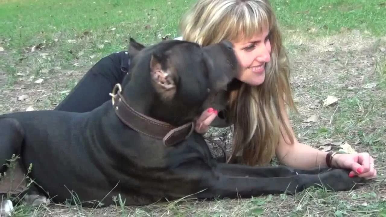 Зооскоол. Зооскоол. Ральф корги. Девушки с кобелями домашнее. Zooskool актрисы блондинка.