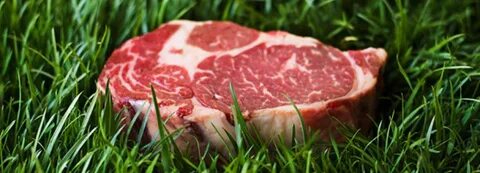 Grass fed